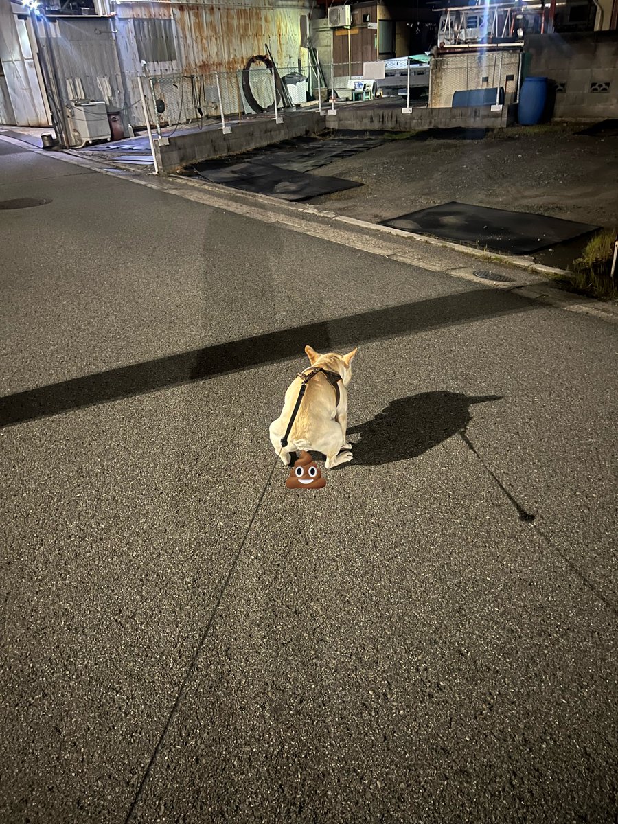 そんな道のど真ん中でせんでも、、、