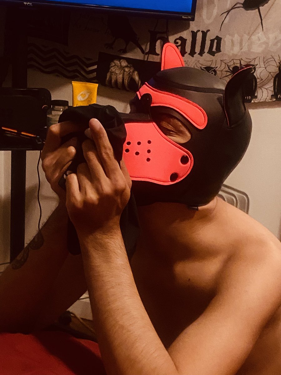 Alpha Dozer tweet media