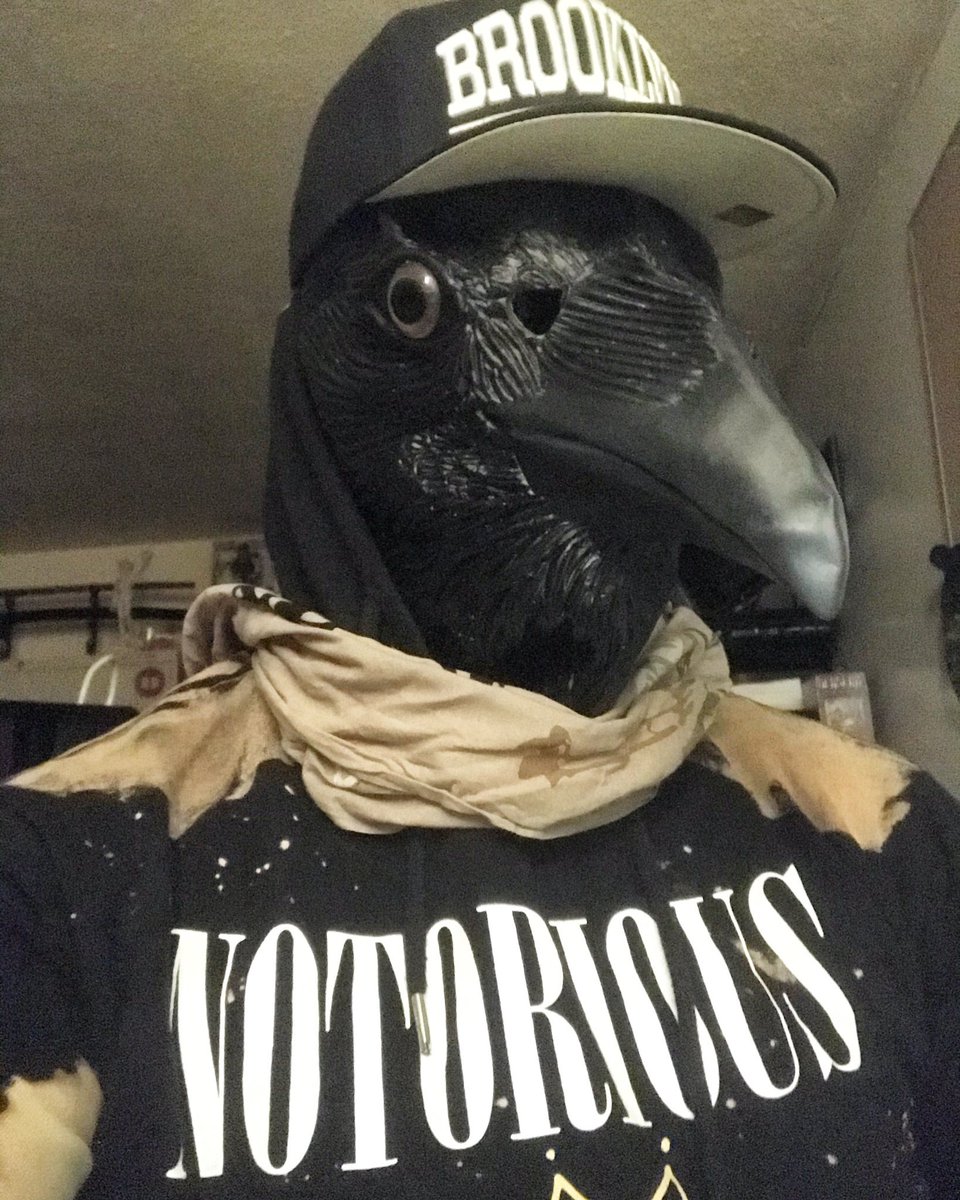 The Midnight Rook tweet media