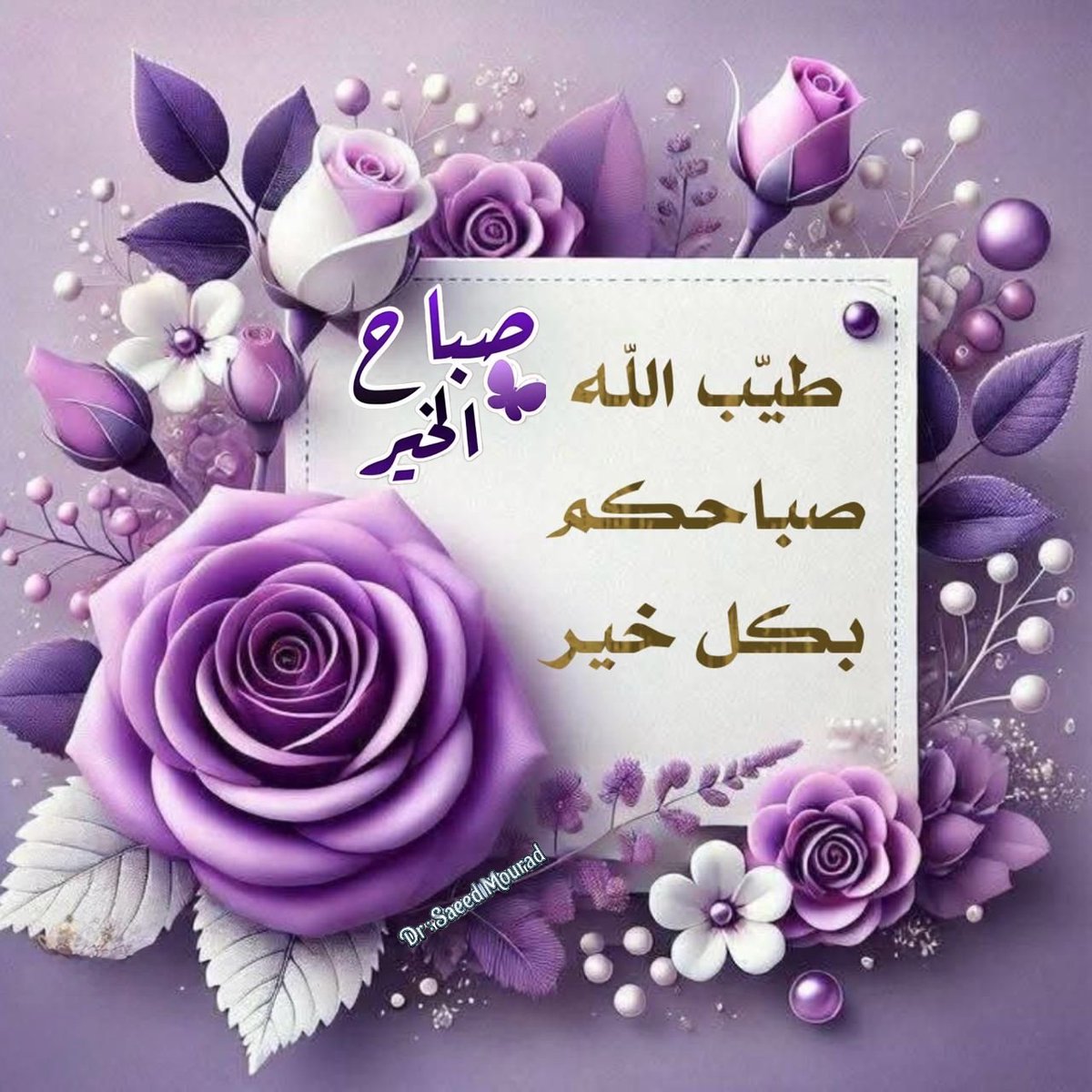 معتز الكويتي tweet media