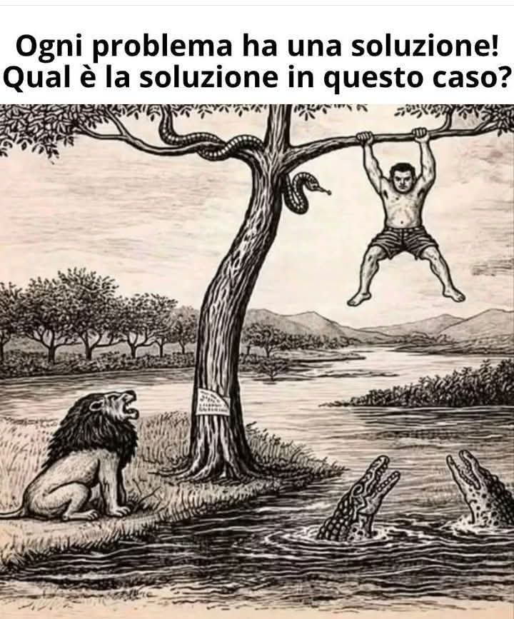 🍀Follementeme E♥l♥i♥s♥a🌻 tweet media