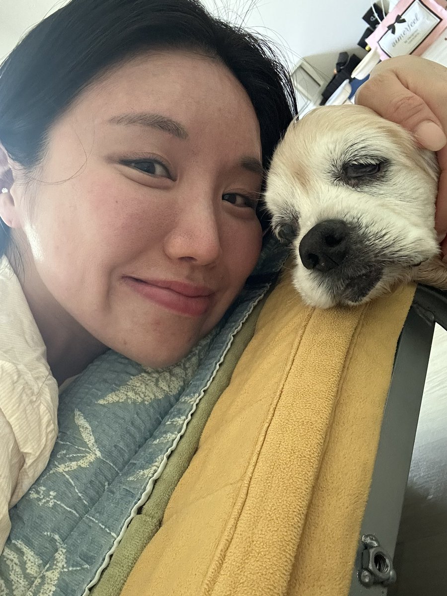 민희수 tweet media