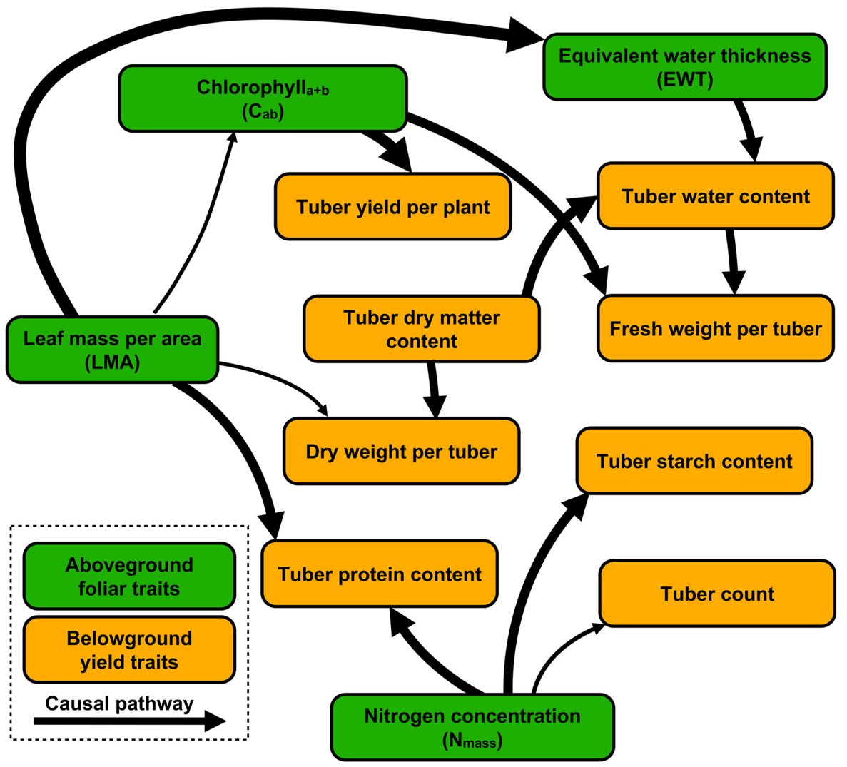 RemoteSens_MDPI's tweet image. 🥔🥔 Investigating the Mechanisms of #Hyperspectral Remote Sensing for Belowground #Yield Traits in #Potato #Plants

✍️ Wenqian Chen et al.
🔗 brnw.ch/21x1YlZ