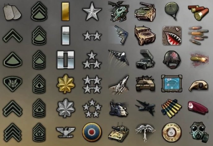 War Roles Emblems Back when you earned your emblem in Call of Duty