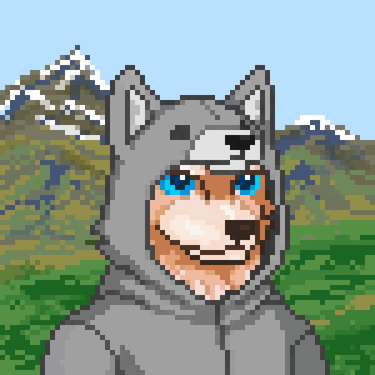 Wolf Capital 🐺 tweet media