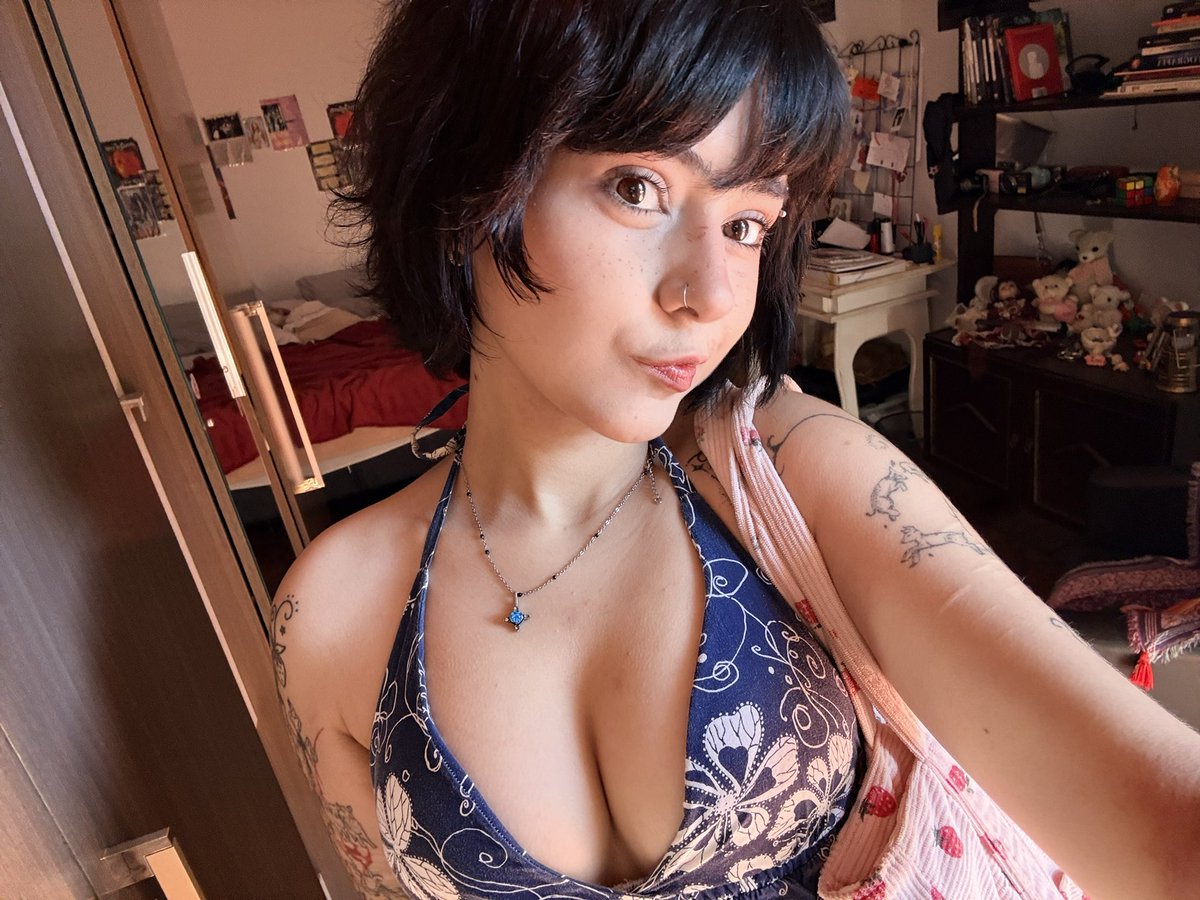 sofia tweet media