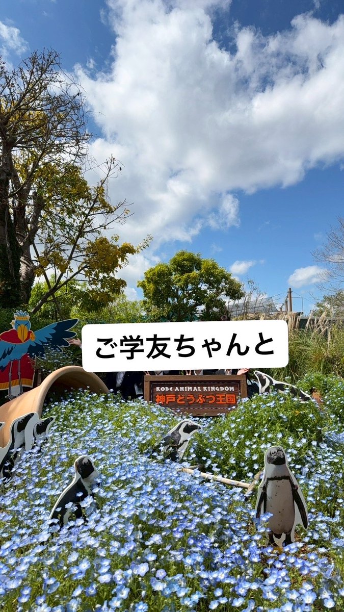 スピッツ煉獄WBCの木村。 tweet media