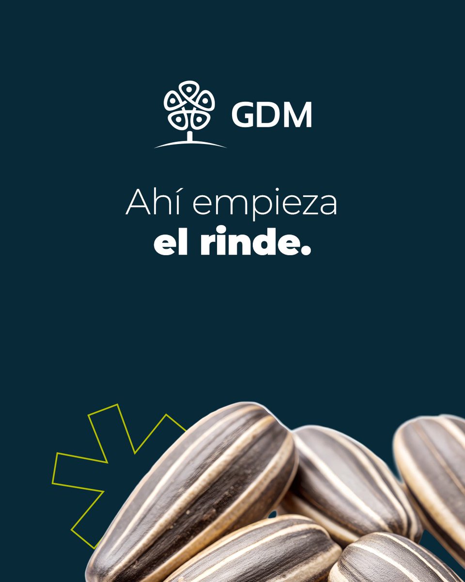 GDM tweet media
