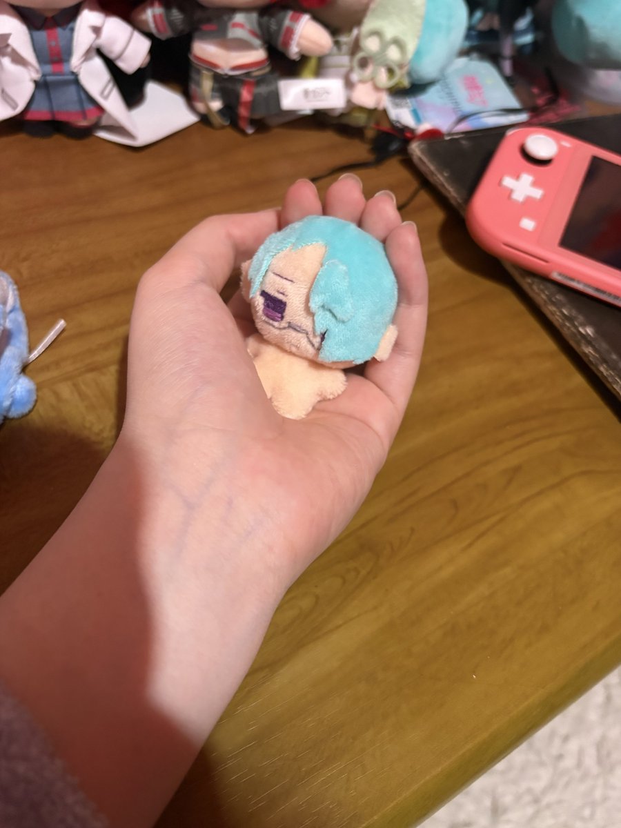 誠蓮セレンのサブ tweet media