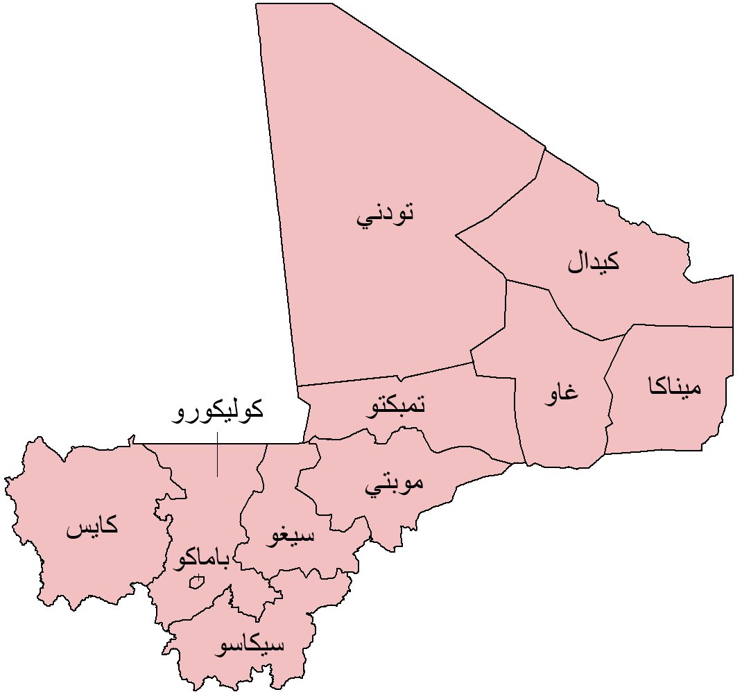 مالك الروقي tweet media