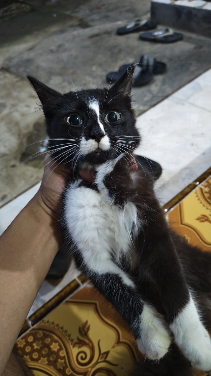 Makin gede makin mirip banget kayak bapaknyaa. Btw kalau ada yang mau open adopt nih bocil, murah ko 🗿