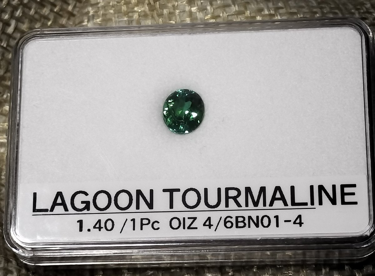 メグラー(巡回鳥) tweet media