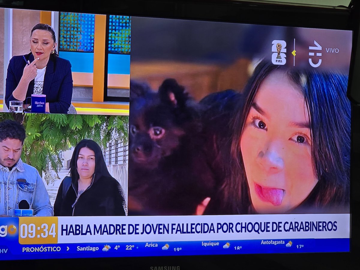 mai molina tweet media