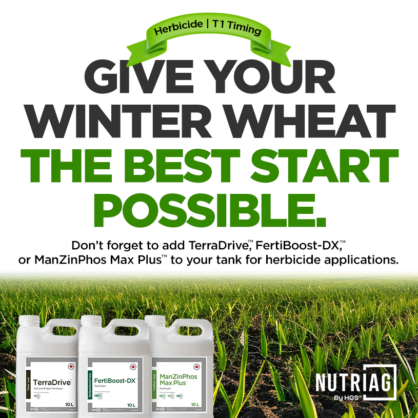 NutriAg's tweet photo. Don’t Fall Behind! 🫣
Winter wheat T1 is here and demand is rising fast.🌱

W. wheat can outpace soil supply, leading to weaker growth, faded colour, and lost yield potential.

TerraDrive™, FertiBoost-DX™ and ManZinPhos Max Plus™ help keep nutrition on track. Lock in T1 now! https://t.co/vqqGmvqqkQ