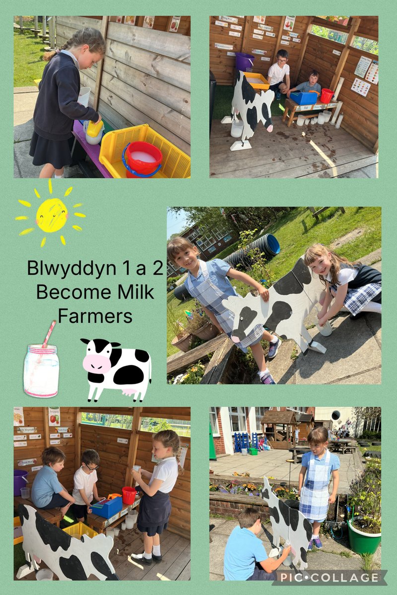 BaglanPrimary1's tweet image. Blwyddyn 1 a 2 have become milk farmers, farm shop keepers, artists, authors, designers and builders and are using lots of independent skills in their activities this week #measure #innovation #roleplay #constuction #ict #art @WG_Education