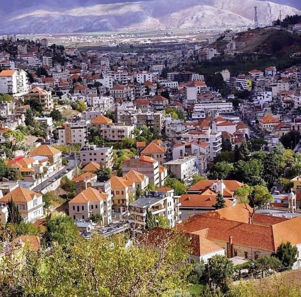 𝐍𝐢𝐨𝐡 𝐁𝐞𝐫𝐠 🇮🇷 ✡︎ tweet media