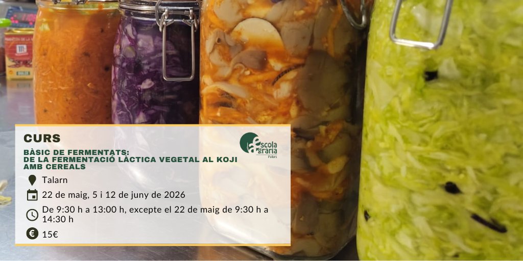 eapallars's tweet photo. 🥬🍆Descobrirem el paper dels bacteris, llevats i fongs en la #fermentació dels aliments, i coneixerem les tècniques d’elaboració de fermentats vegetals, begudes fermentades i cereals amb koji. 

https://t.co/MsIuI7295O #EAPallars https://t.co/wzyYFzIJoS