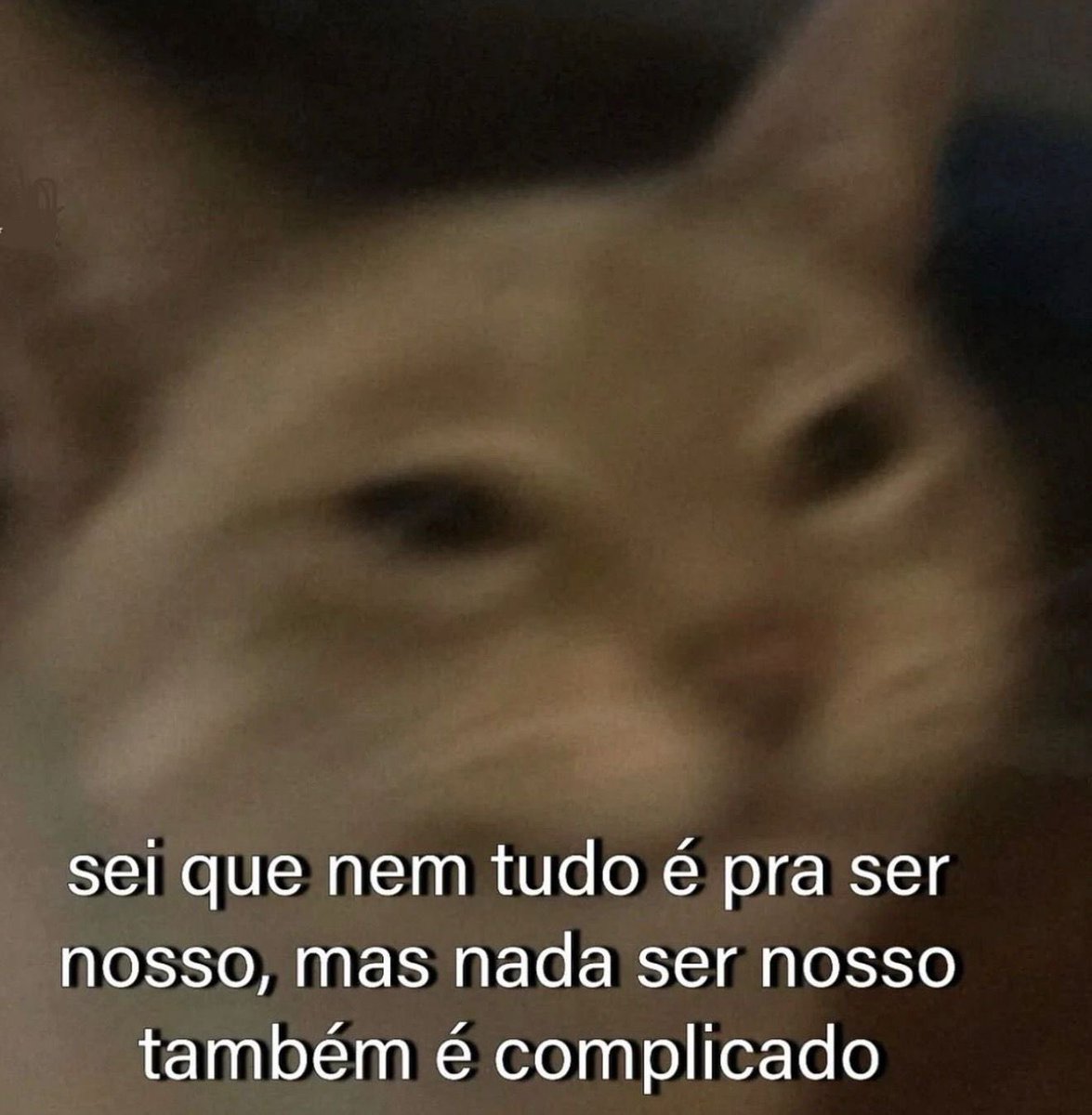 Pagina lixo tweet media