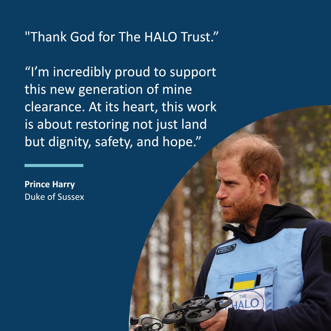 The HALO Trust tweet media