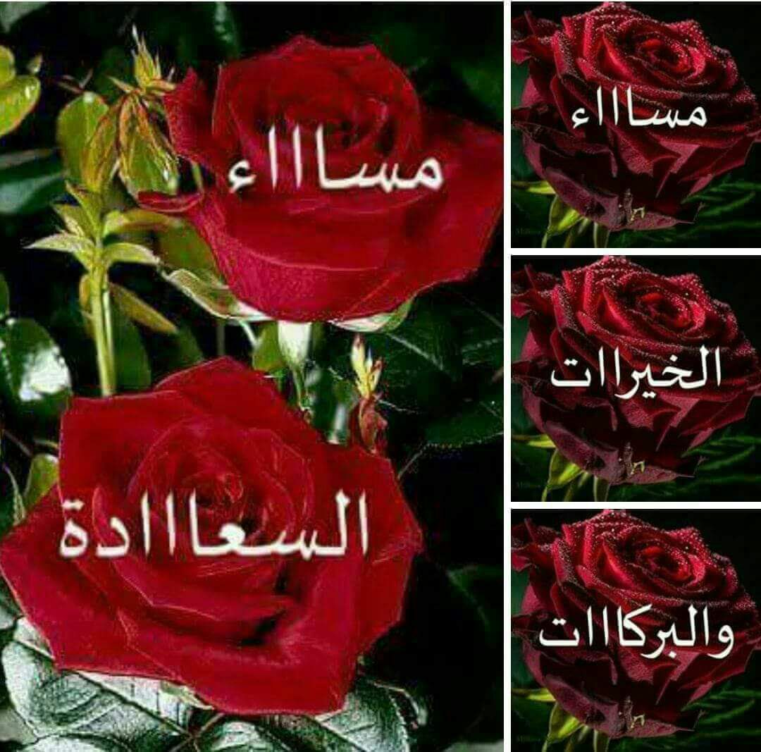 اليماني الزبيدي tweet media