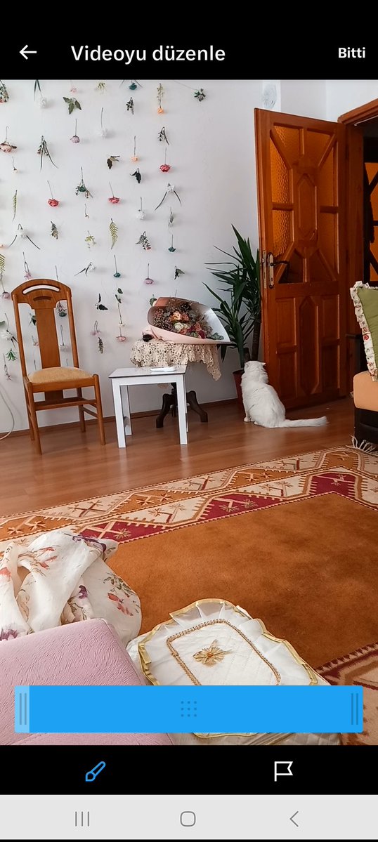 Meziyet Dönmez tweet media