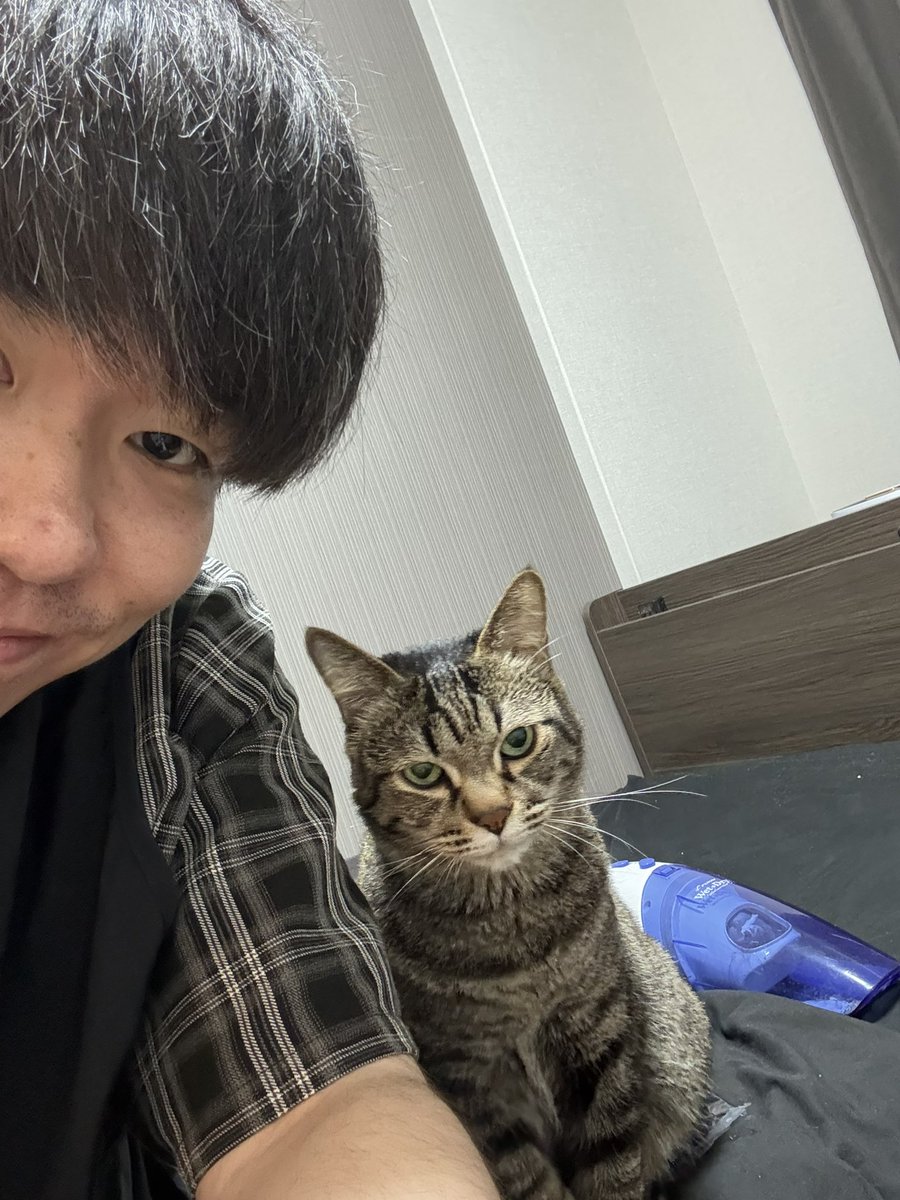 マーティー 真平 tweet media
