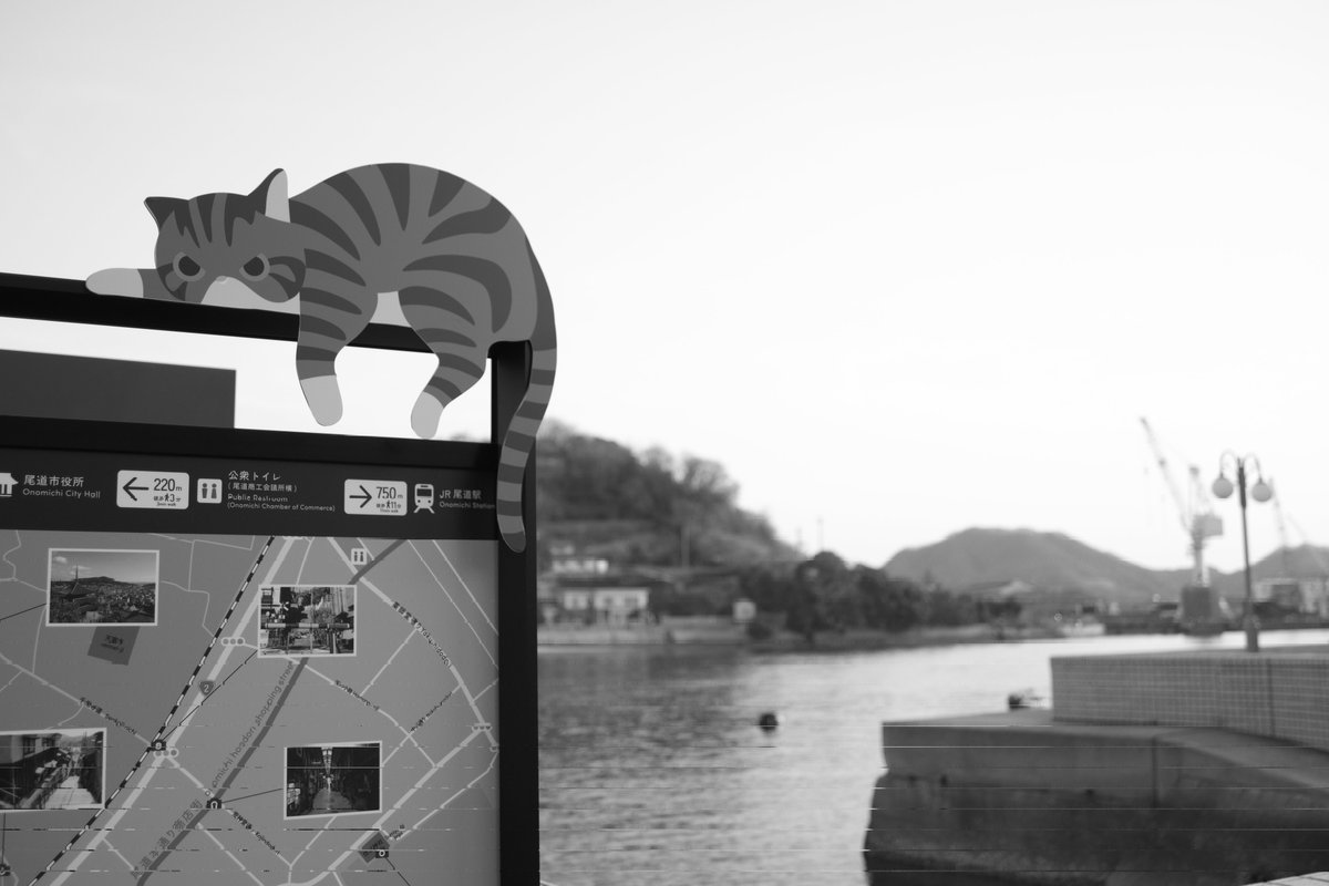 monochromochi's tweet image. 尾道パート3
尾道で出会った動物達。

#pentax #monochrome
#pentaxk3mkiiimono #尾道 
#尾道ブルワリー