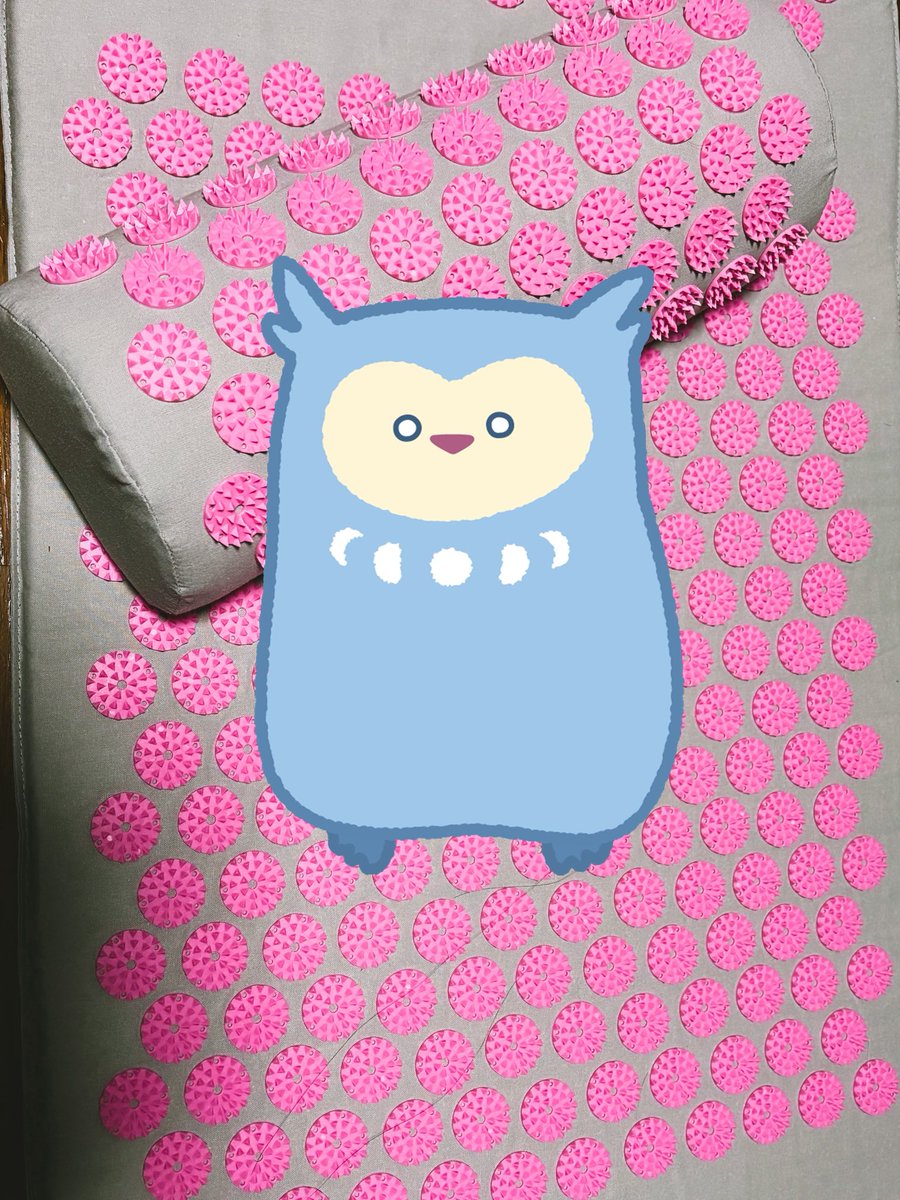 晩羽ずく🦉VTuber tweet media