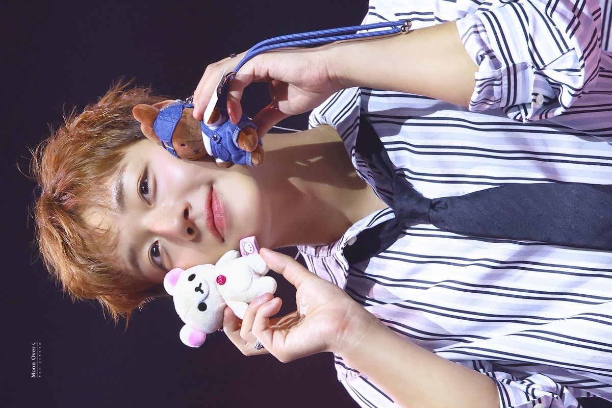 MOON OVER 문오버🌙 tweet media