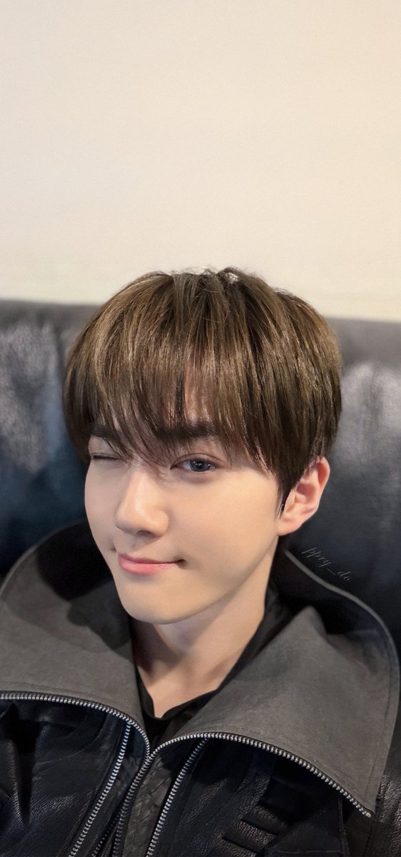 쁘리🐧 tweet media