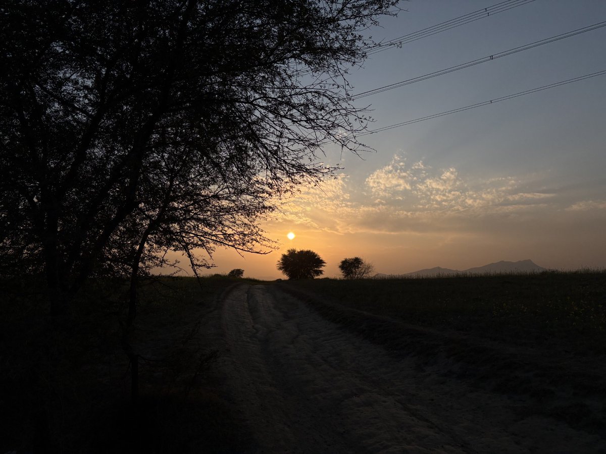 Future Web3 Dev tweet media