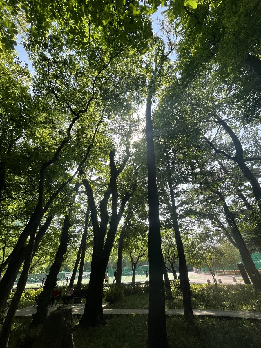 악교 tweet media