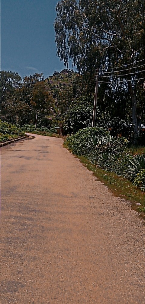 Remedy Ayo🇳🇬🐝🎶 tweet media