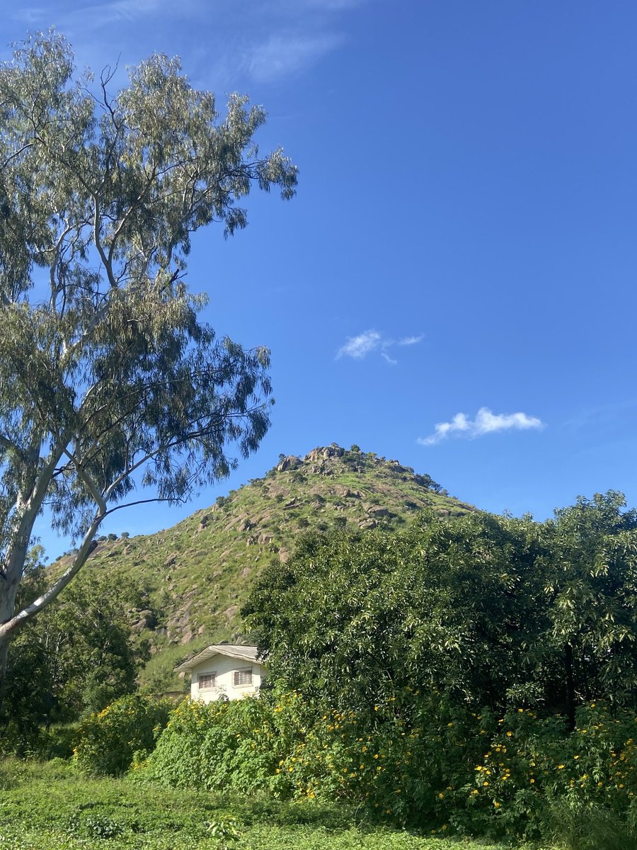 Remedy Ayo🇳🇬🐝🎶 tweet media