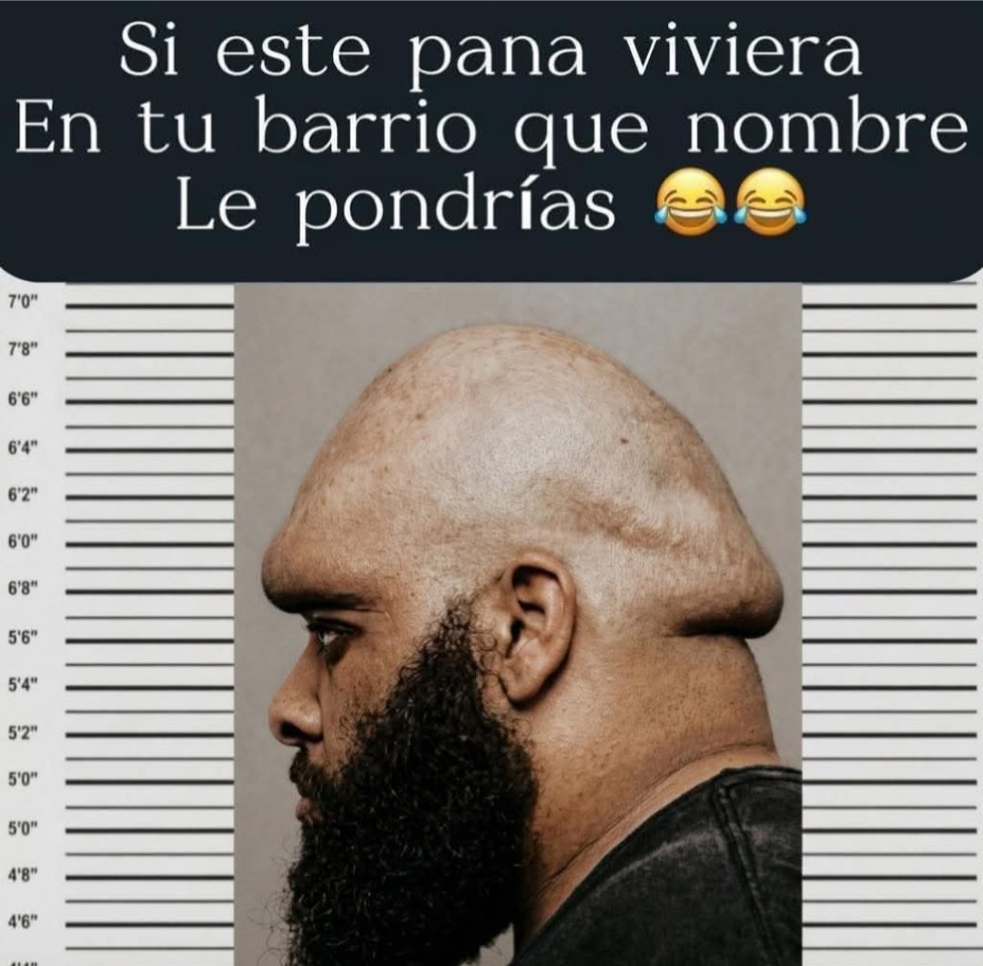 SandraQuiñones tweet media