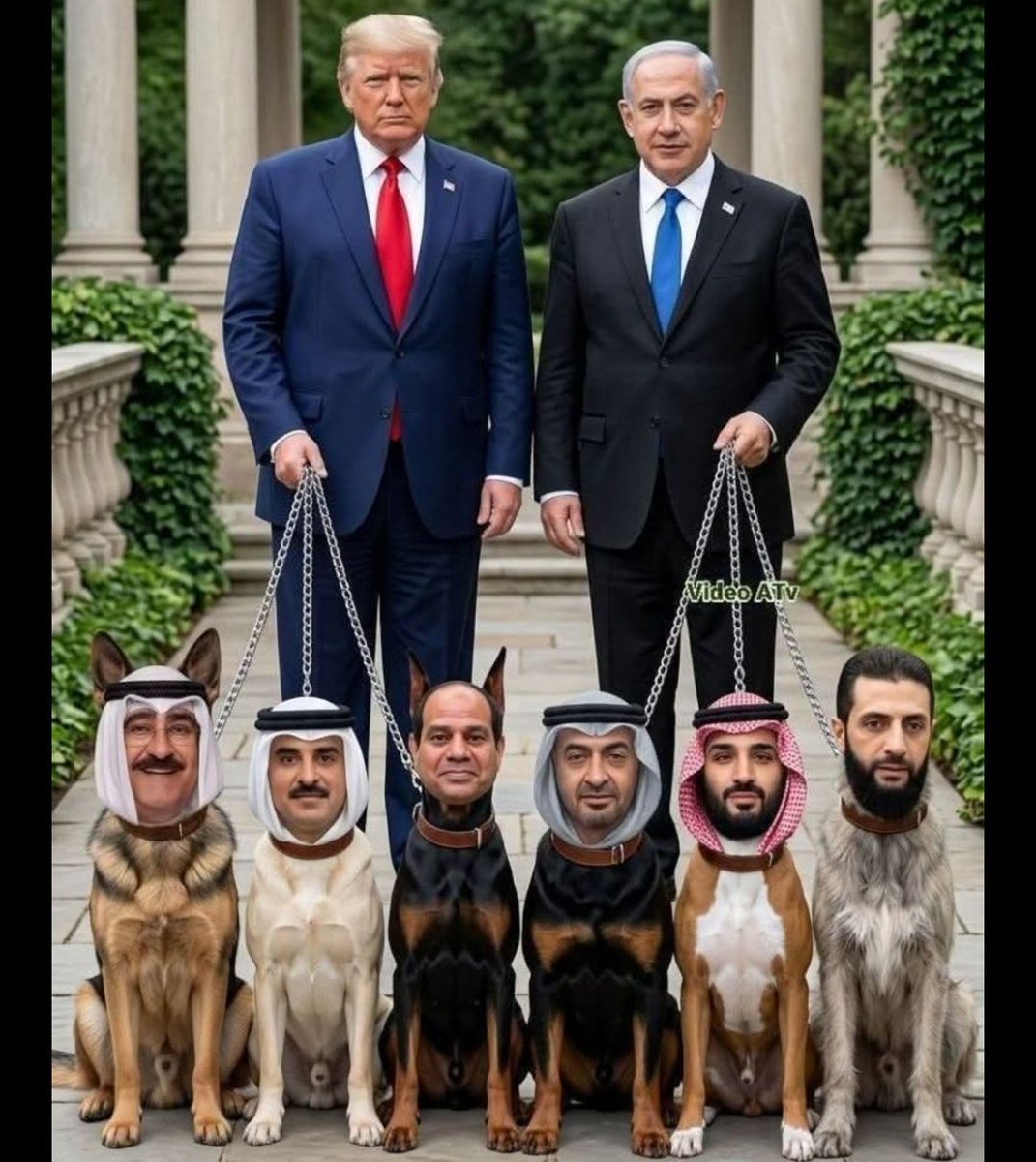 TÜRK 62 🇹🇷🇦🇿🇵🇼🇹🇲🇺🇿🇰🇬🇭🇺 tweet media