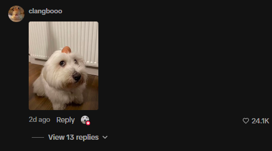 front__runna's tweet photo. Bro how has this not sent yet

6M views on a video recently and so memeable 

look at these comments bro😂

https://t.co/Q8FUTCL7kU https://t.co/O9ZRuhuUyr