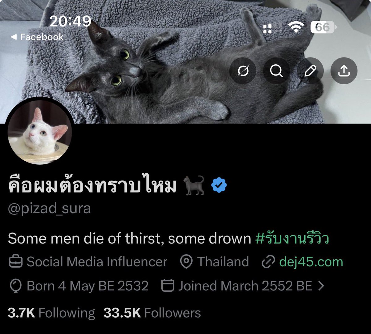 คือผมต้องทราบไหม 🐈‍⬛ tweet media