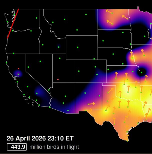 CountyAgAgent's tweet photo. Just a reminder that overnight is when North Dakota is getting the majority of the migration traffic. LaMoure County has a confirmed case of HPAI. Do what is necessary to protect your flock. https://t.co/Psj1yZVW4V
