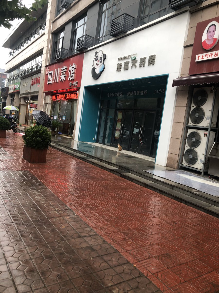 成为你的光芒 New tweet media