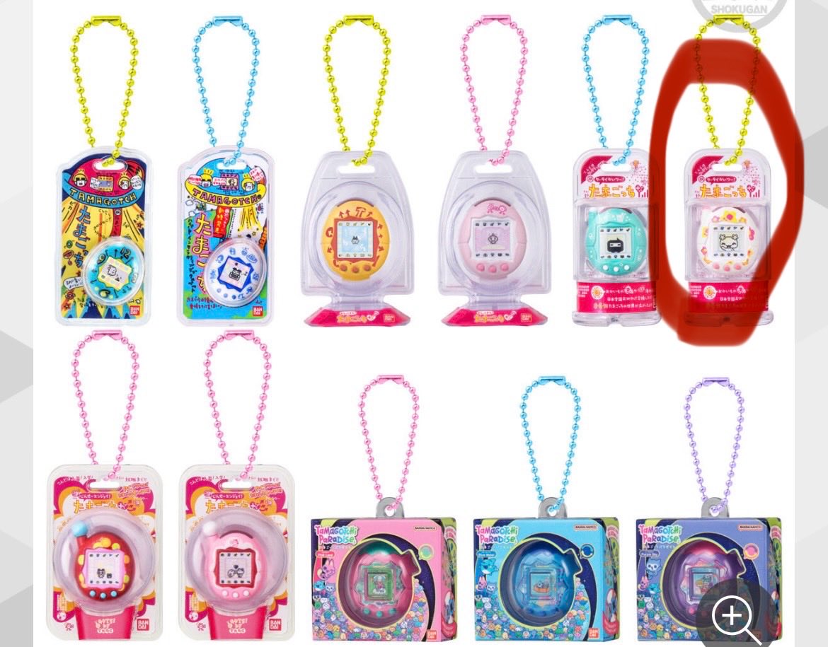 ぬい猫 tweet media