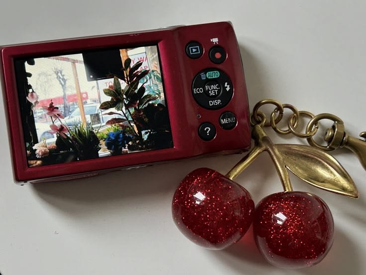 softly magical°🦢♡ tweet media