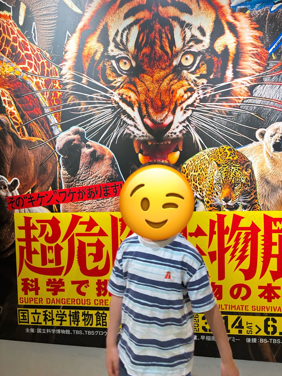 ketamata's tweet photo. 昨日は国立博物館の、超危険生物展に長男と行きました！

私自身も、上野の雰囲気って結構好きなんですよね〜

内容はもう少し大きい子向けかもですが、結構楽しんでくれたと思います！ https://t.co/daATvqMj5K