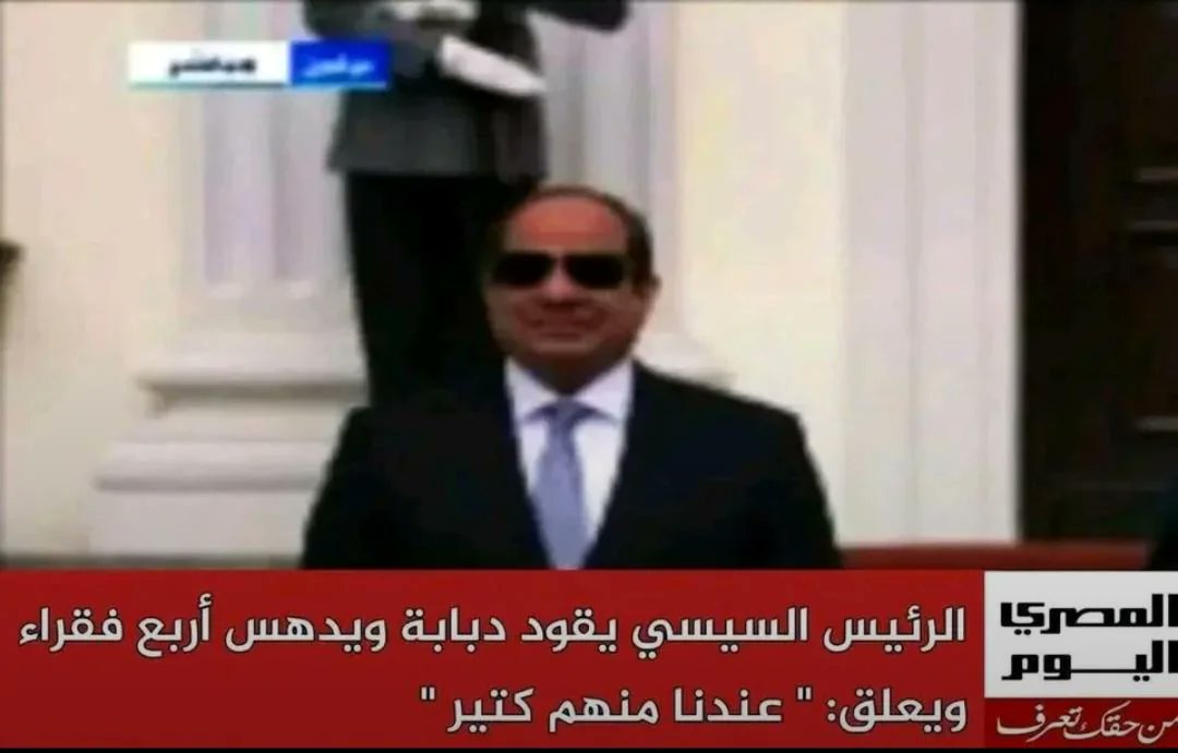 Cats mommy tweet media