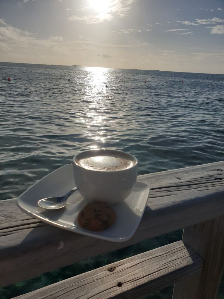 augusrodri3's tweet image. Buen día para todos!!

Sol, mar y café! 🌞🌅☕
#FelizLunes 😊