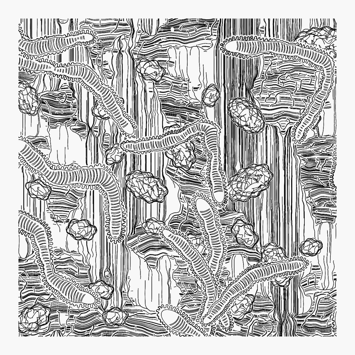 CCDDBB's tweet image. W.I.P. Metastasi #7

#javascript #plotterart #plottertwitter #generativeart #genart #digitalart #abstractart #graphicart