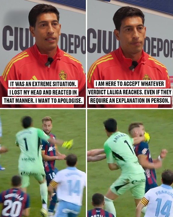 Sportblits tweet media