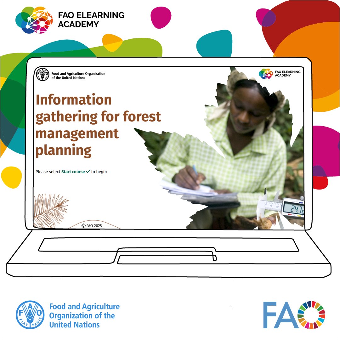 FAO Forestry tweet media