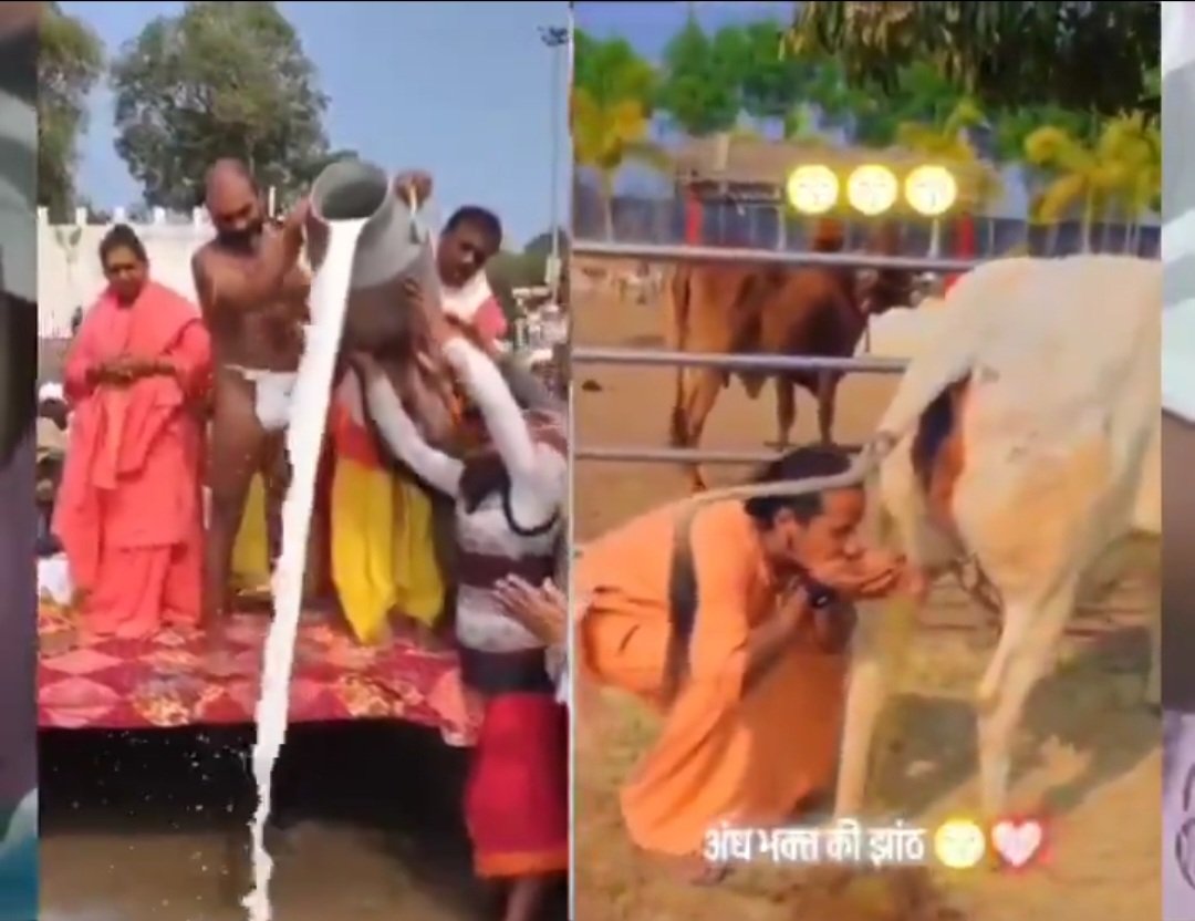 random_fnubbery tweet media