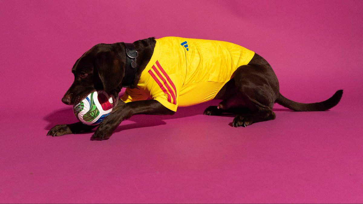 adidas Football tweet media